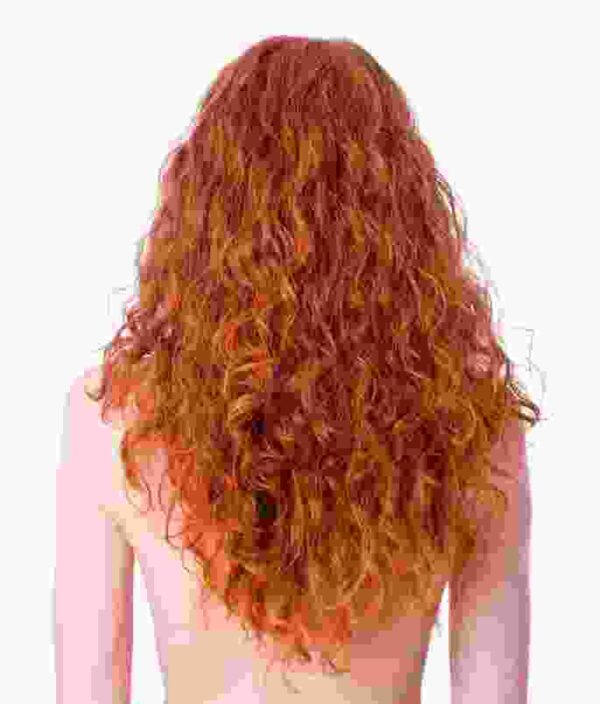 Sensual Touch Human Hair - Image 3