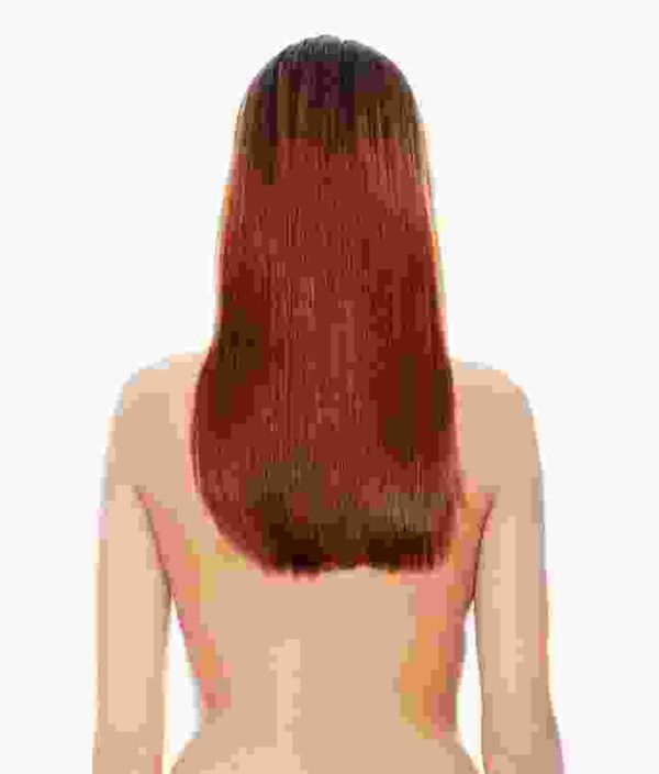 Golden Brown Hair Style - Image 4